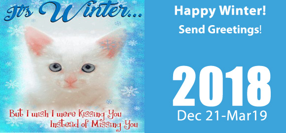 Send New Year Ecard!