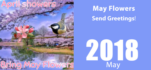 Send May Flower Ecard!